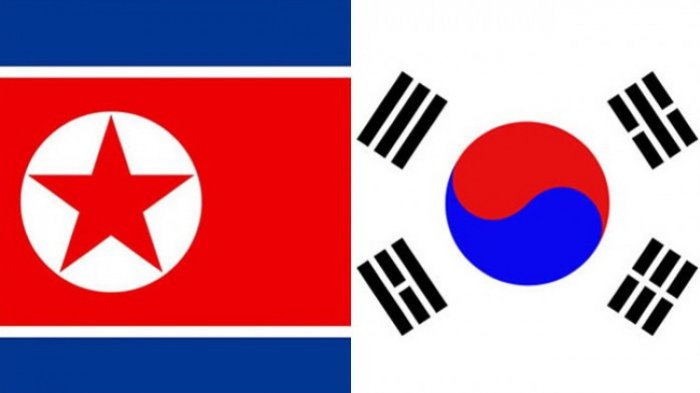 North and South Korean Flags